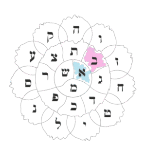 La flor hebrea. letras hebreas. Bet